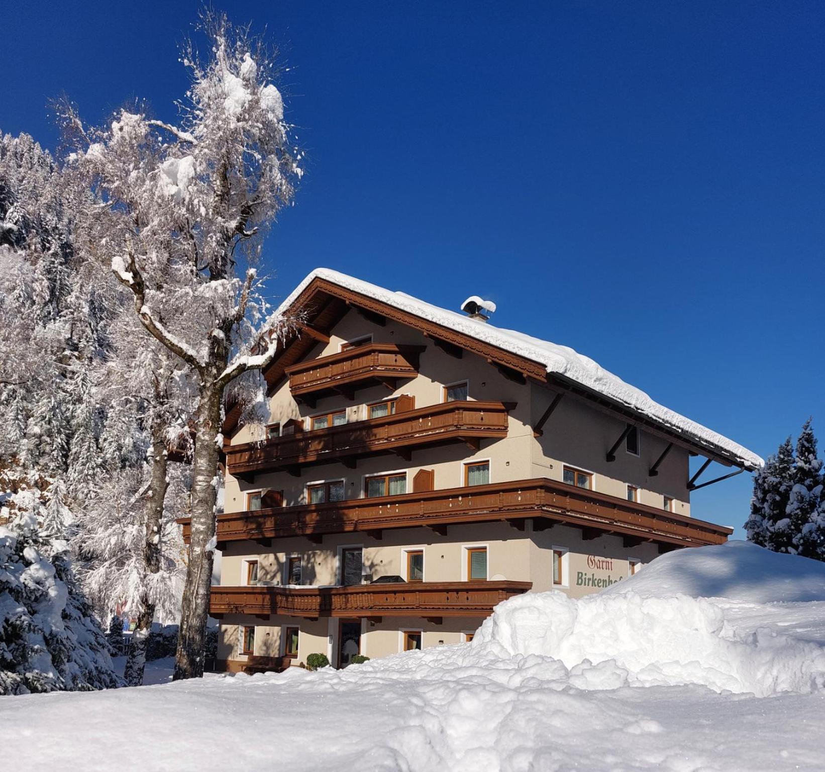 Hotel Garni Birkenhof Mayrhofen Dış mekan fotoğraf