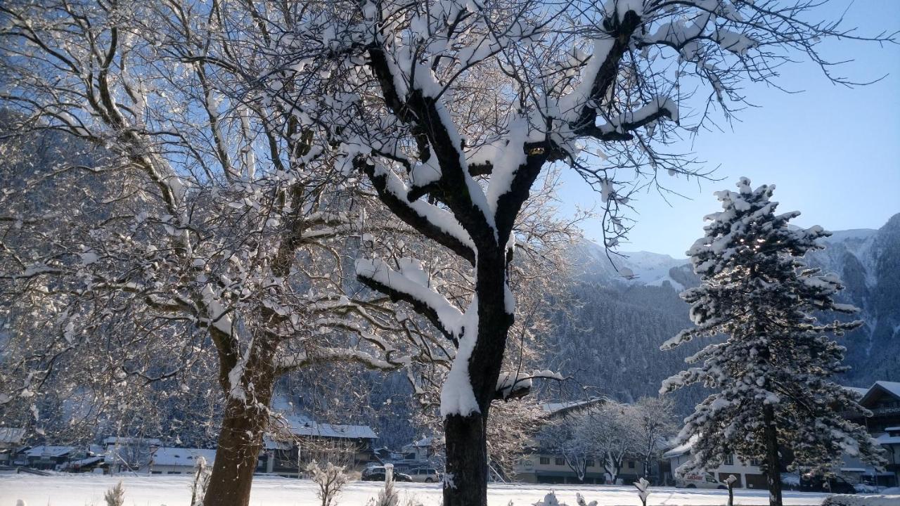 Hotel Garni Birkenhof Mayrhofen Dış mekan fotoğraf