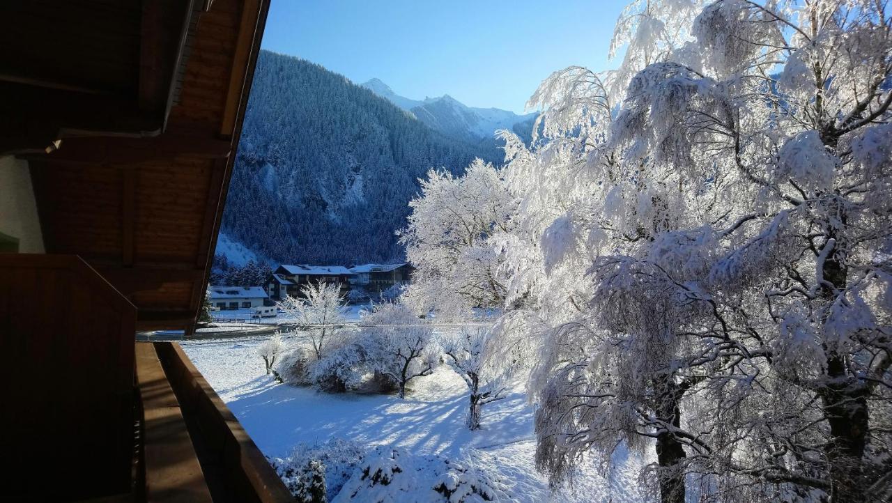 Hotel Garni Birkenhof Mayrhofen Dış mekan fotoğraf